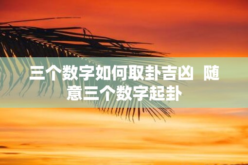 三个数字如何取卦吉凶  随意三个数字起卦