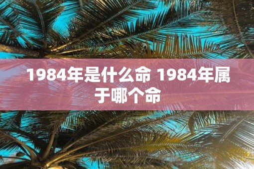 1984年是什么命 1984年属于哪个命