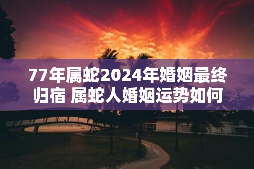 77年属蛇2025年婚姻最终归宿 属蛇人婚姻运势如何