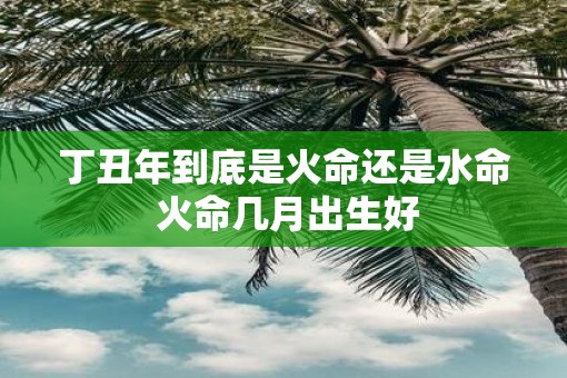 丁丑年到底是火命还是水命 火命几月出生好