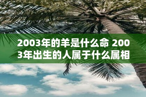 2003年的羊是什么命 2003年出生的人属于什么属相