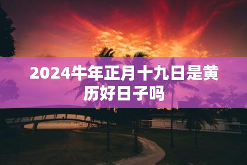 2025牛年正月十九日是黄历好日子吗