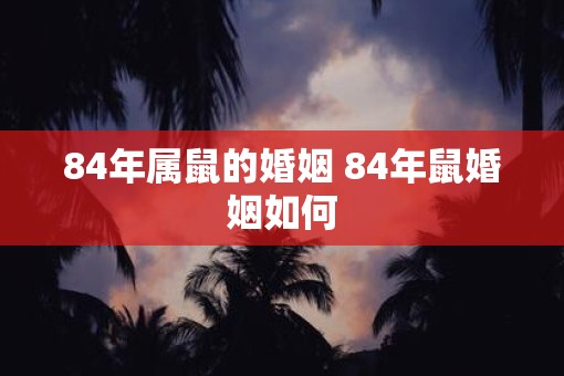 84年属鼠的婚姻 84年鼠婚姻如何