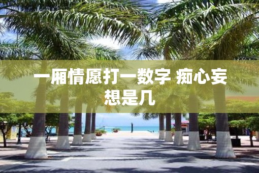 一厢情愿打一数字 痴心妄想是几
