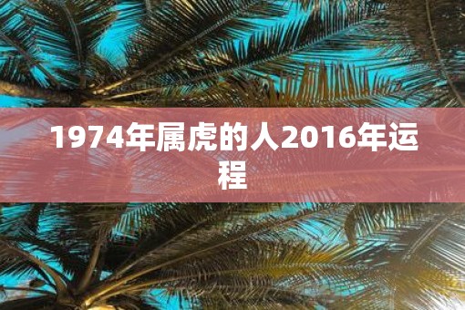 1974年属虎的人2016年运程 1974年属虎的人2016年运程