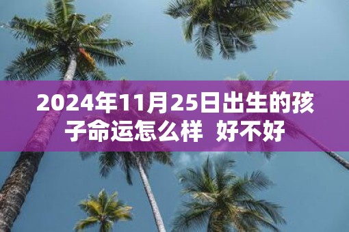 2025年11月25日出生的孩子命运怎么样  好不好