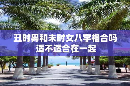 丑时男和未时女八字相合吗 适不适合在一起