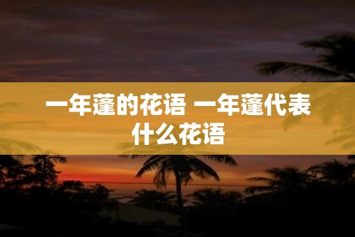 一年蓬的花语 一年蓬代表什么花语