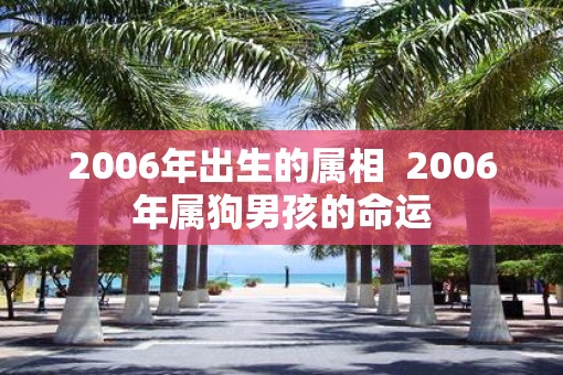 2006年出生的属相  2006年属狗男孩的命运