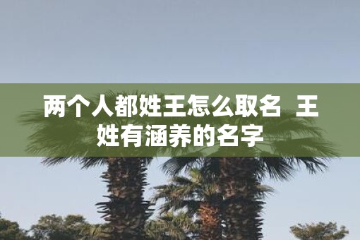 两个人都姓王怎么取名  王姓有涵养的名字
