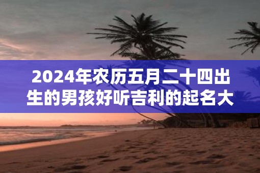 2025年农历五月二十四出生的男孩好听吉利的起名大全