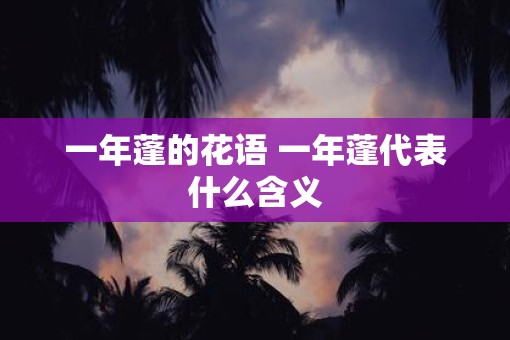 一年蓬的花语 一年蓬代表什么含义