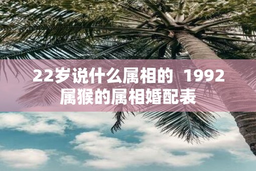 22岁说什么属相的  1992属猴的属相婚配表