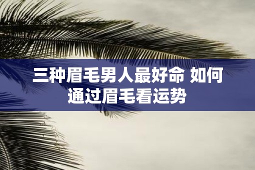 三种眉毛男人最好命 如何通过眉毛看运势
