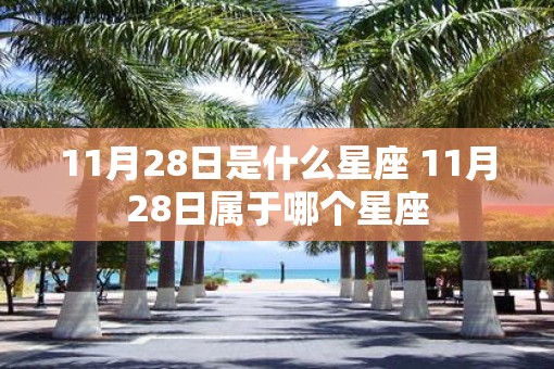 11月28日是什么星座 11月28日属于哪个星座