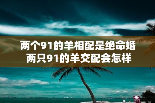 两个91的羊相配是绝命婚 两只91的羊交配会怎样