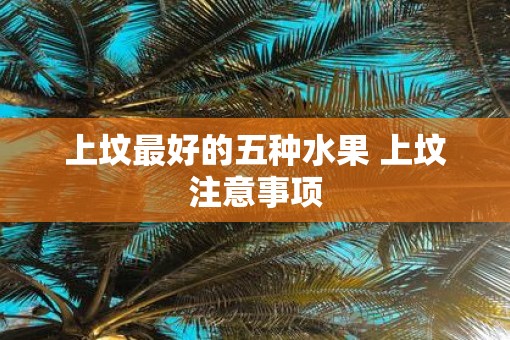上坟最好的五种水果 上坟注意事项
