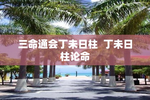 三命通会丁未日柱  丁未日柱论命