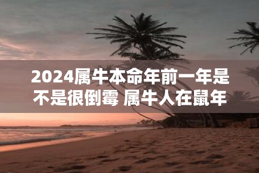 2025属牛本命年前一年是不是很倒霉 属牛人在鼠年里运势如何