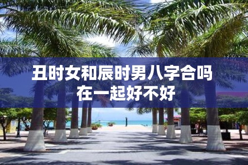 丑时女和辰时男八字合吗  在一起好不好