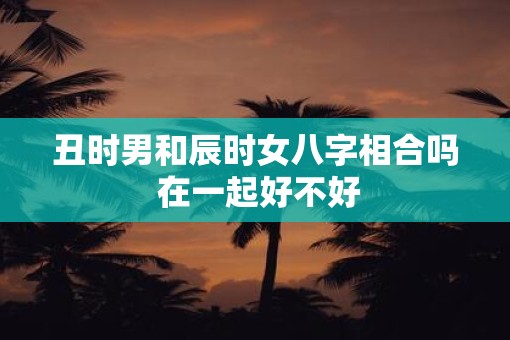 丑时男和辰时女八字相合吗 在一起好不好
