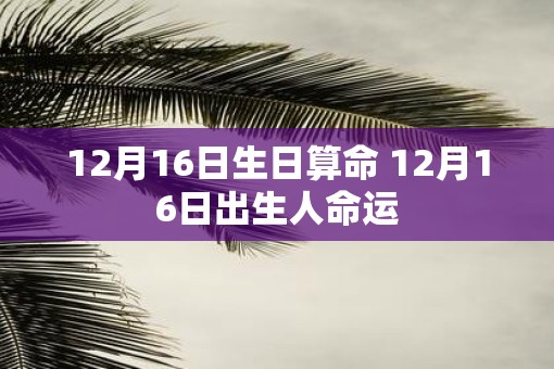 12月16日生日算命 12月16日出生人命运