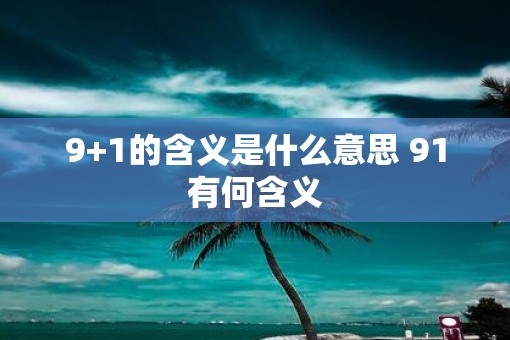 9+1的含义是什么意思 91有何含义