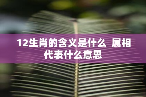 12生肖的含义是什么  属相代表什么意思