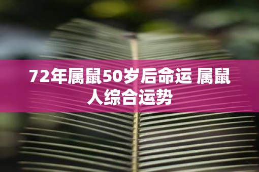 72年属鼠50岁后命运 属鼠人综合运势