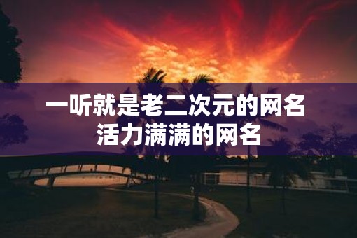 一听就是老二次元的网名 活力满满的网名