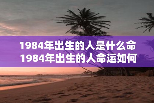 1984年出生的人是什么命 1984年出生的人命运如何