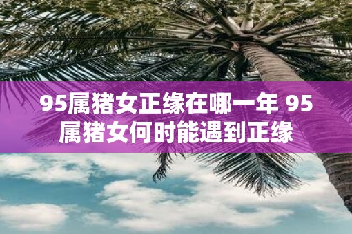 95属猪女正缘在哪一年 95属猪女何时能遇到正缘