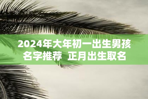 2025年大年初一出生男孩名字推荐  正月出生取名