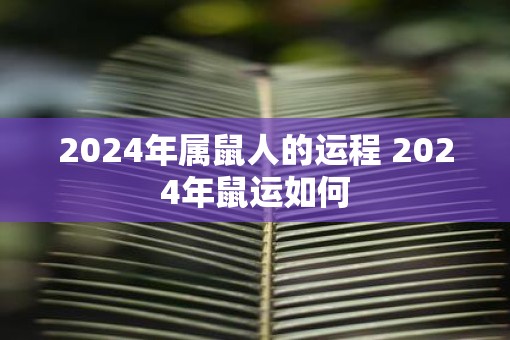 2025年属鼠人的运程 2025年鼠运如何