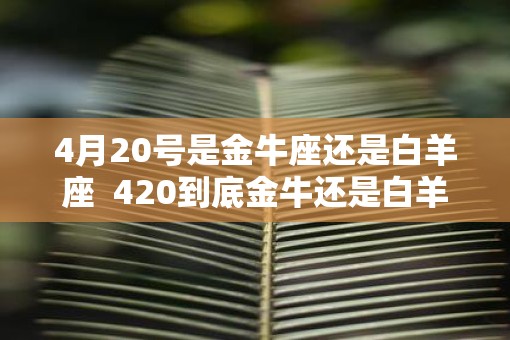 4月20号是金牛座还是白羊座  420到底金牛还是白羊