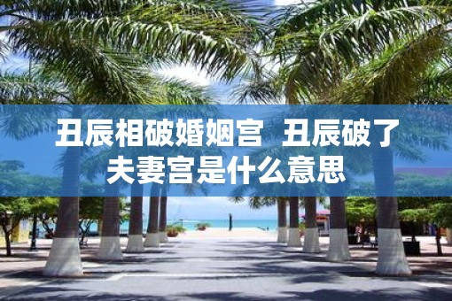 丑辰相破婚姻宫  丑辰破了夫妻宫是什么意思