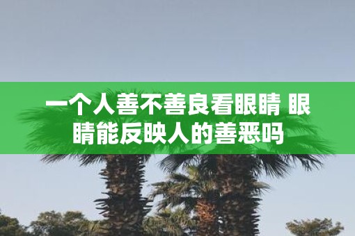 一个人善不善良看眼睛 眼睛能反映人的善恶吗