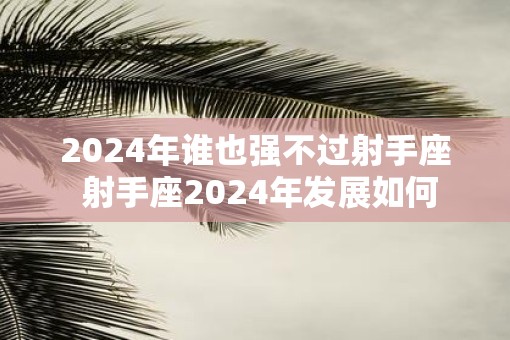 2025年谁也强不过射手座 射手座2025年发展如何