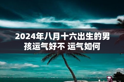 2025年八月十六出生的男孩运气好不 运气如何