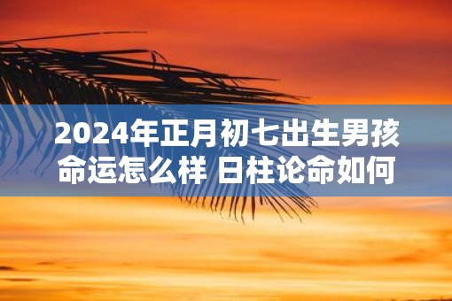 2025年正月初七出生男孩命运怎么样 日柱论命如何