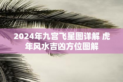 2025年九宫飞星图详解 虎年风水吉凶方位图解