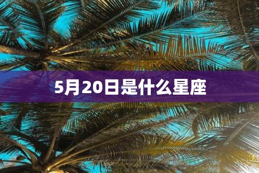 5月20日是什么星座