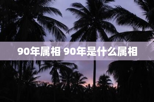 90年属相 90年是什么属相