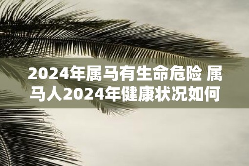 2025年属马有生命危险 属马人2025年健康状况如何