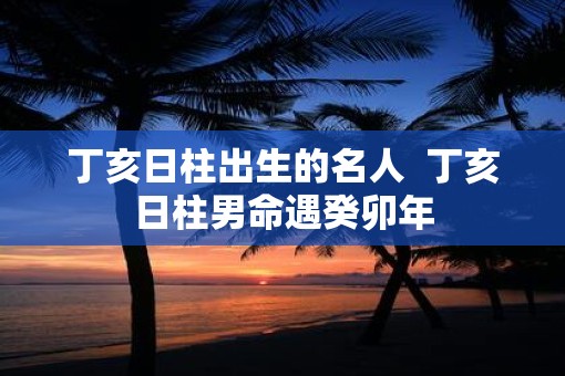 丁亥日柱出生的名人 丁亥日柱男命遇癸卯年 丁亥日柱出生的名人 丁亥日柱男命遇癸卯年
