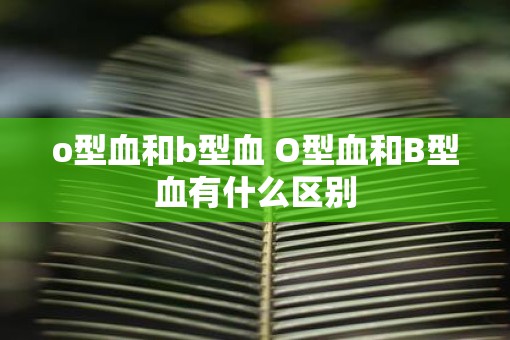 o型血和b型血 O型血和B型血有什么区别