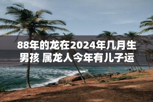 88年的龙在2025年几月生男孩 属龙人今年有儿子运吗