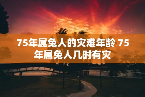 75年属兔人的灾难年龄 75年属兔人几时有灾
