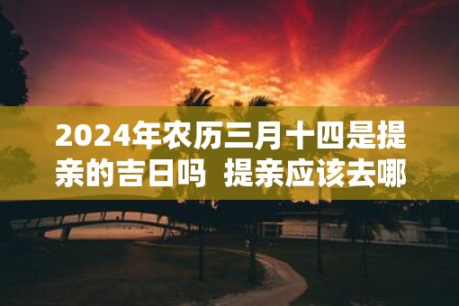2025年农历三月十四是提亲的吉日吗  提亲应该去哪方吃饭