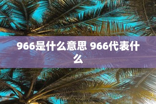 966是什么意思 966代表什么